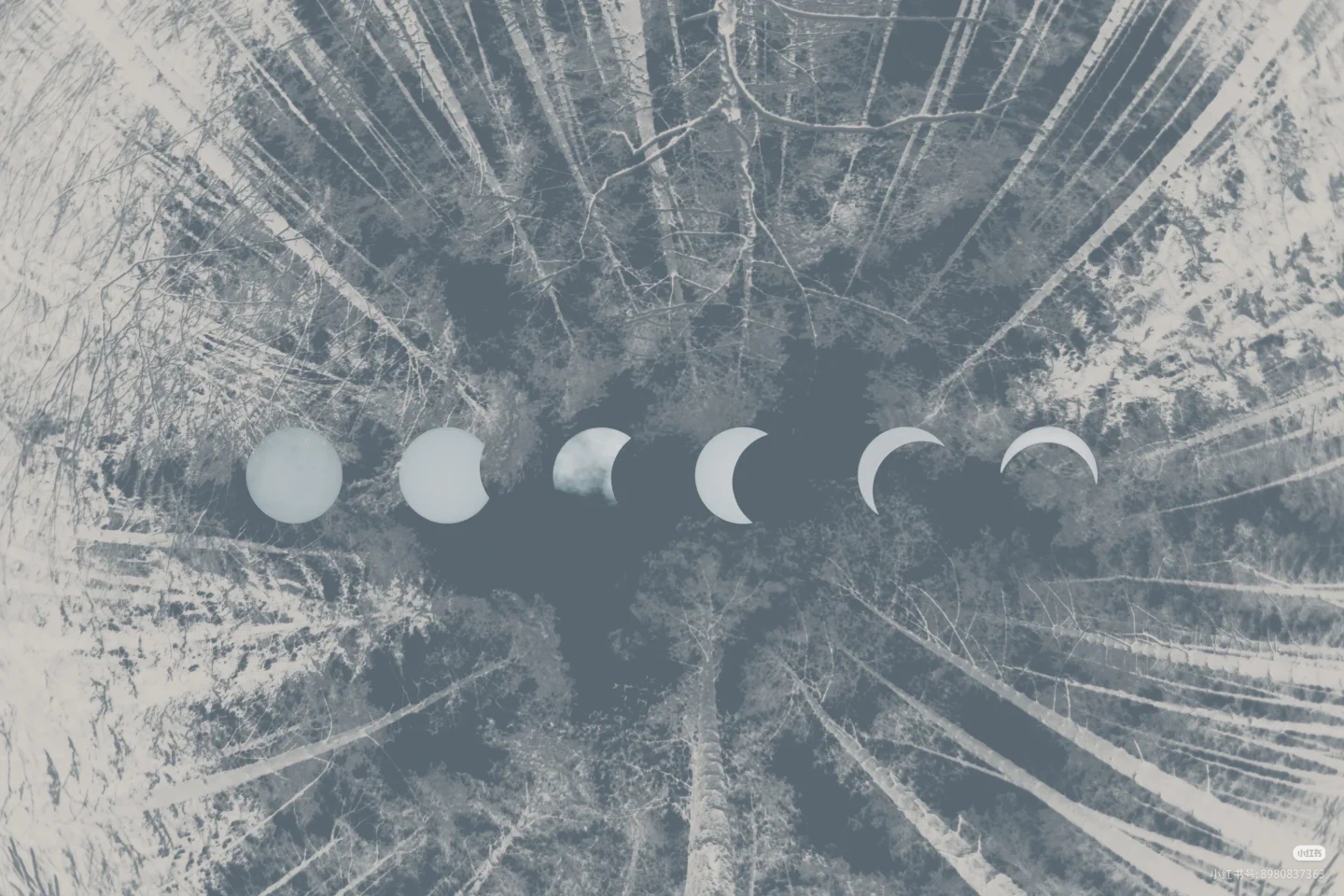 Featured image of post 你好，欢迎来到“Solarion”